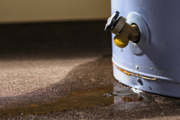 Best Flooded house restoration  in Snyderville, UT