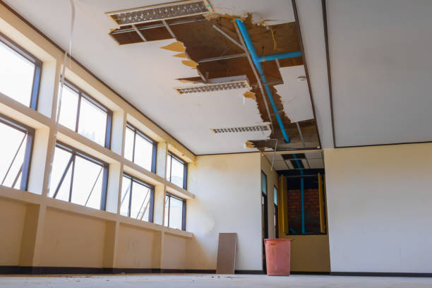 Best Water damage contractors near me  in Snyderville, UT