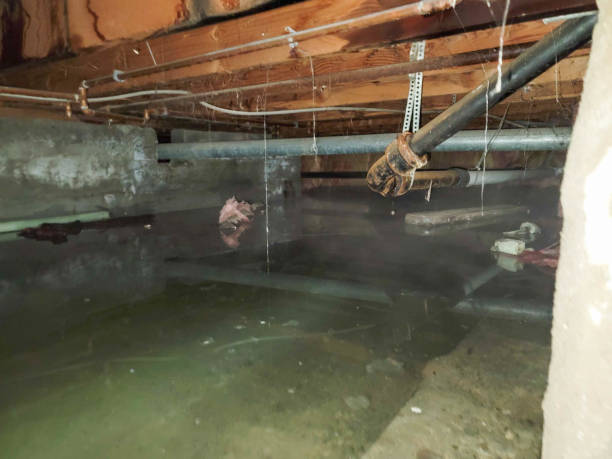 Best Water damage restoration near me  in Snyderville, UT