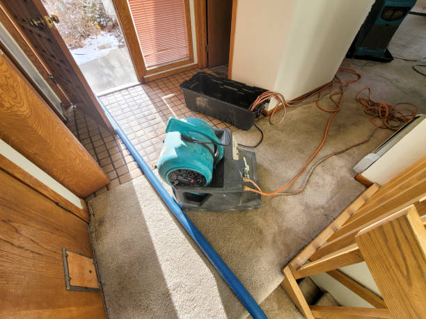 Reliable Snyderville, UT Water damage restoration Solutions