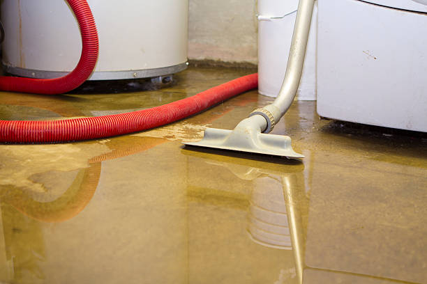 Best Water damage restoration insurance claims  in Snyderville, UT
