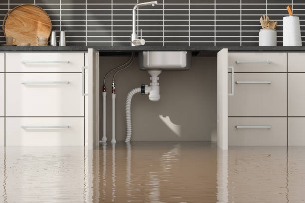 Best 24/7 water damage repair  in Snyderville, UT