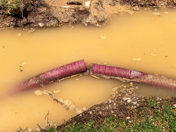 Best Sewage cleanup and water damage restoration  in Snyderville, UT