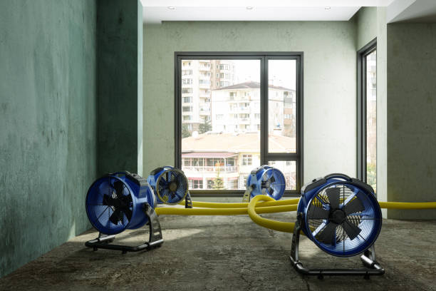 Best 24-hour water damage restoration  in Snyderville, UT